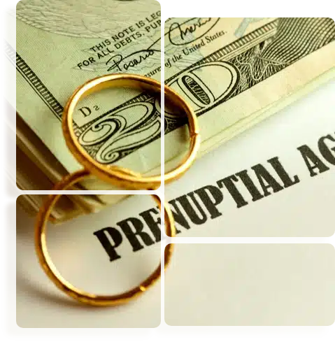 Tampa Prenup Lawyers
