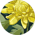 KC S. Reviewer Image
