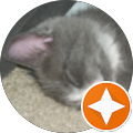 Matthew M. Reviewer Image