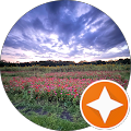 Ingrid Reviewer Image